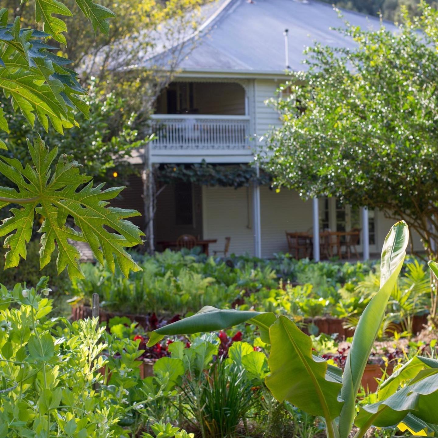 Mavis'S Cabins @ Mt Warning Uki Bagian luar foto
