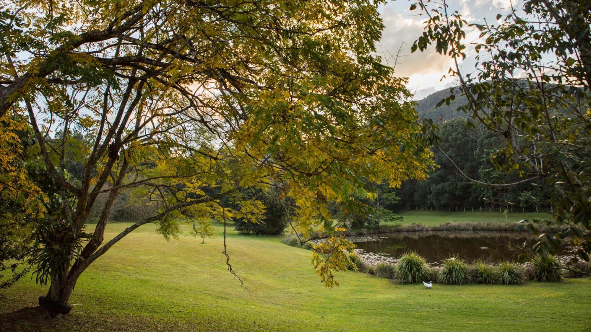 Mavis'S Cabins @ Mt Warning Uki Bagian luar foto